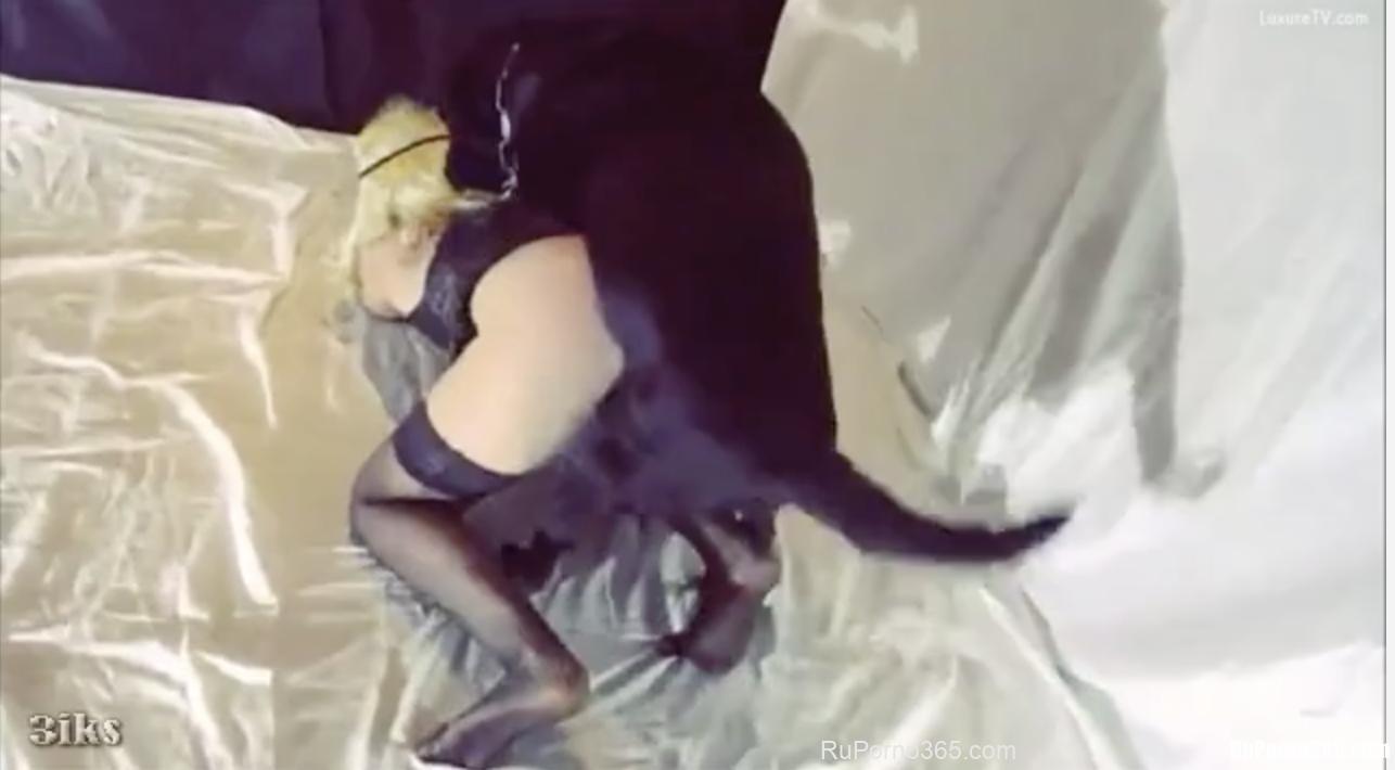 Черный пес трахает блондинку в эротическом белье русское порно zooporno
