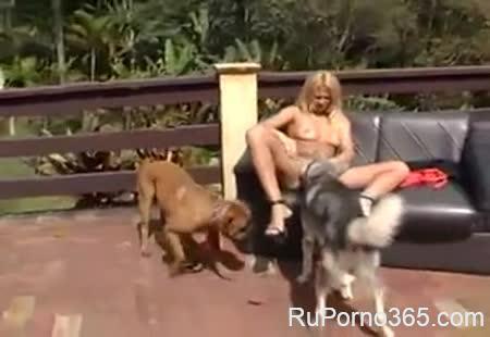 Зоо порно: Блондинка с двумя собаками на улице устроила секс